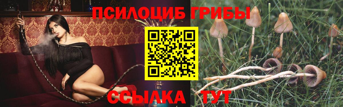 Хабаровск  Галлюциногенные грибы мицелий  Вход с VPN  хочу наркоту  Галлюциногенные грибы ЛСД 