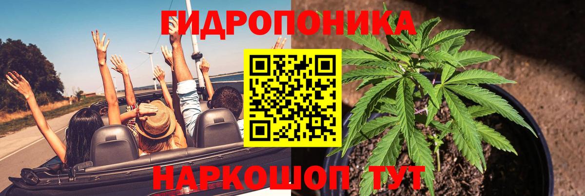 Бошки Шишки Amnesia Хабаровск